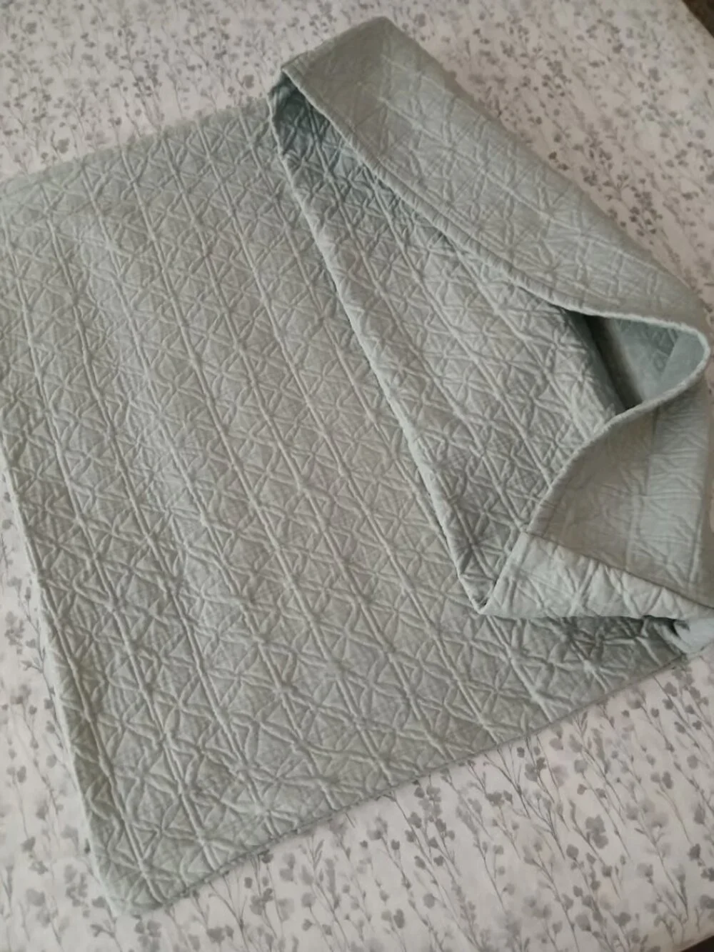 CALVIN KLEIN HOME Mint 100% Cotton Euro Sham - large